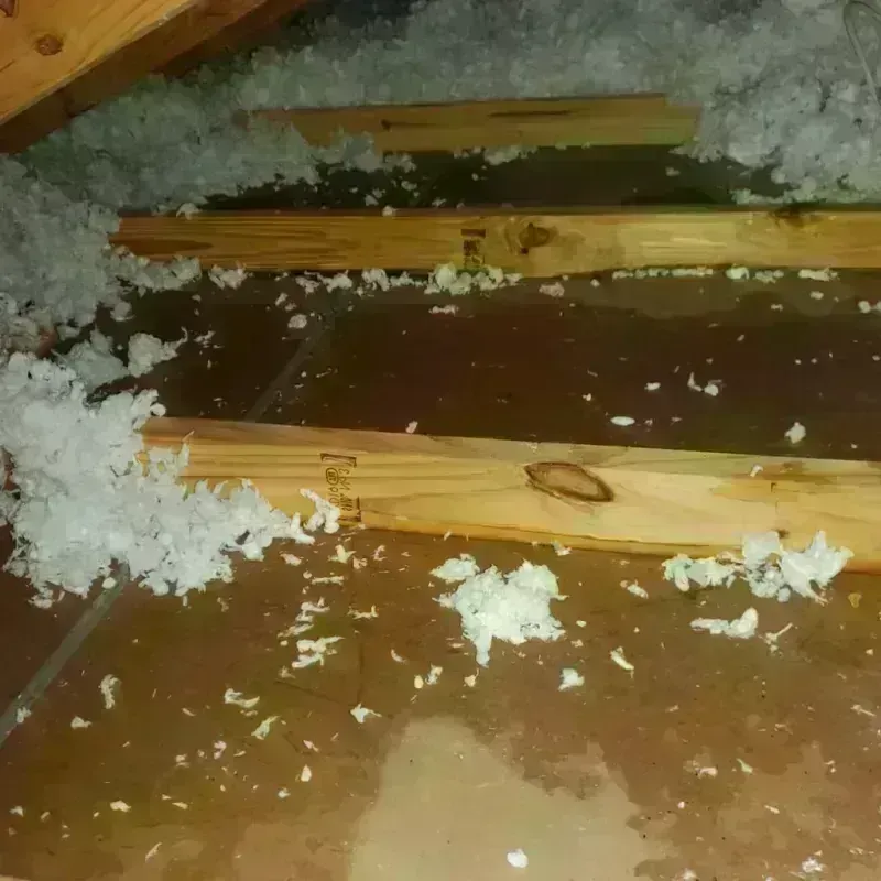 Attic Water Damage in Montgomery County, NY