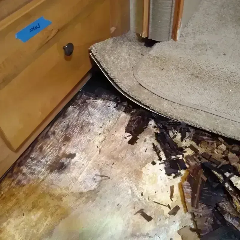 Best Wood Floor Water Damage Service in Montgomery County, NY